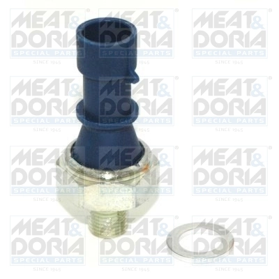 Oil Pressure Switch
